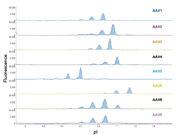 icIEF AAV serotype identity analysis using Maurice